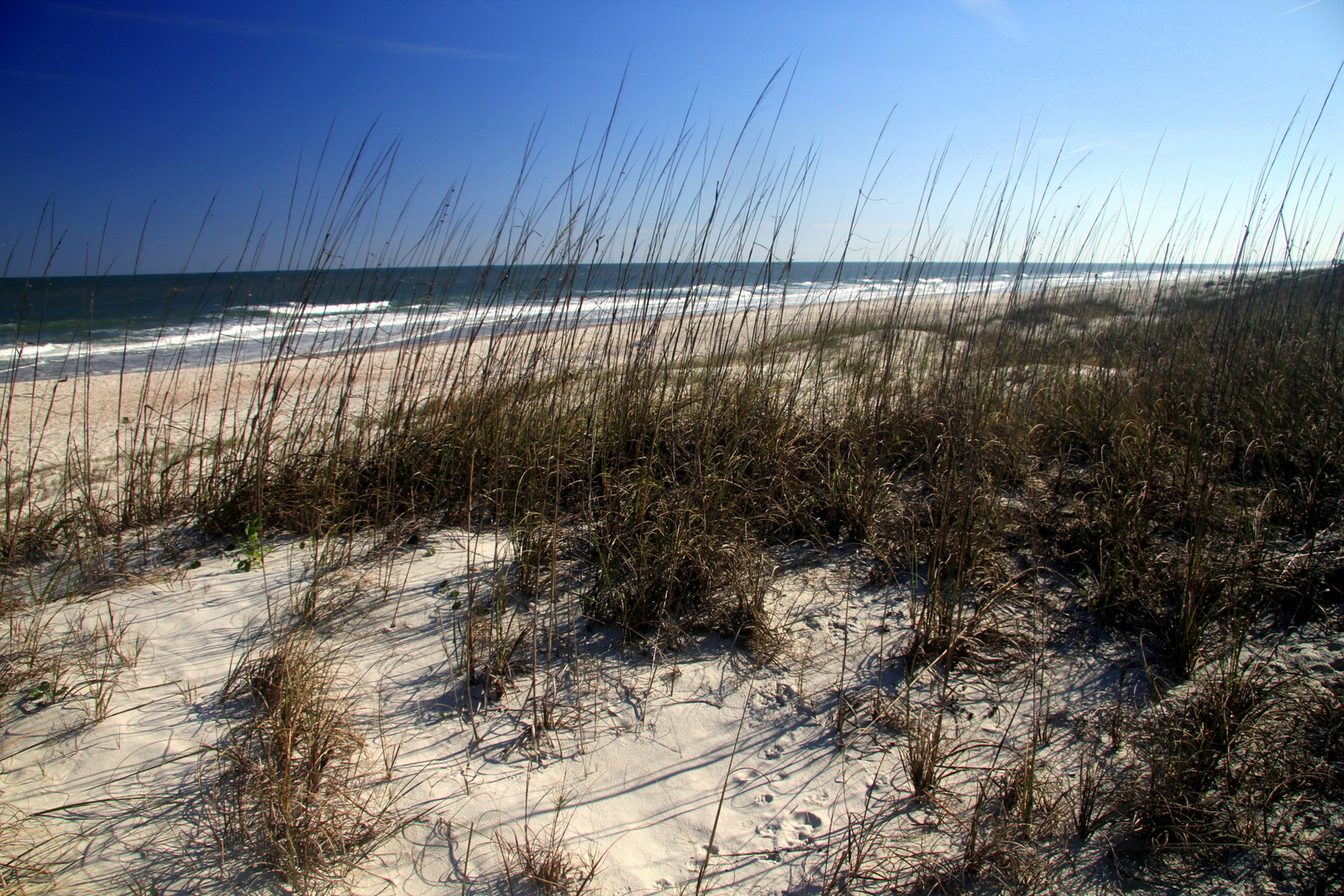 A Few More Things That Make Amelia Island An Attractive Place To Live & Visit